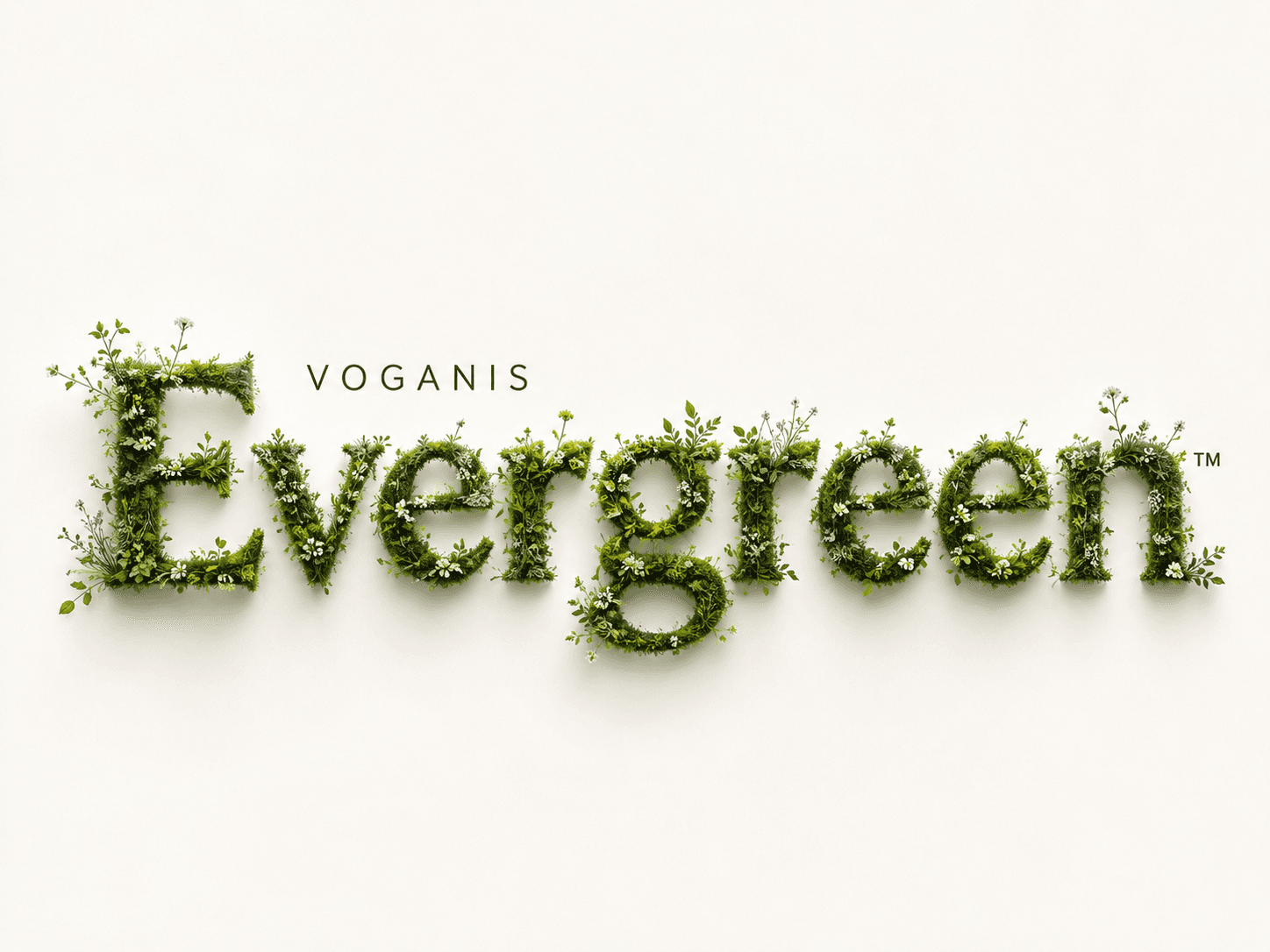 VOGANIS Evergreen